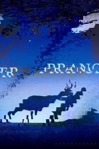 undefined image