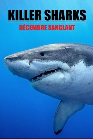 Killer Sharks : The Attacks Of Black December poster