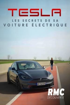 Image Tesla : les secrets de sa voiture électrique
