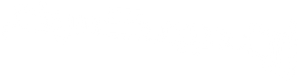 Ziam — Logos 7