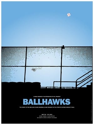 Poster Ballhawks (2010)