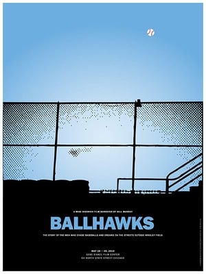 Poster Ballhawks 2010