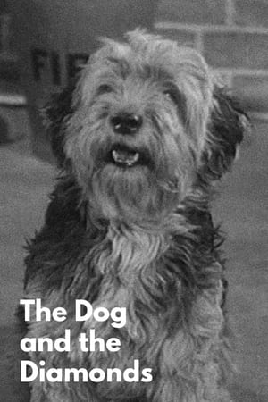 Poster The Dog and the Diamonds (1953)