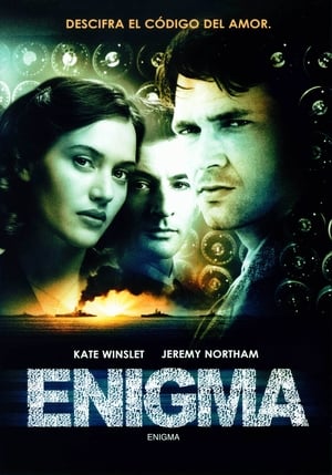 Poster Enigma 2001