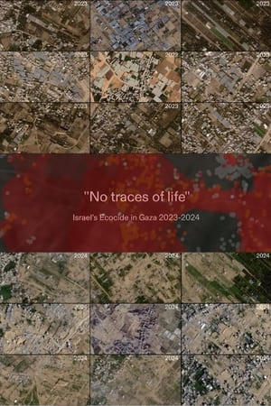 Poster No Traces of Life (2024)