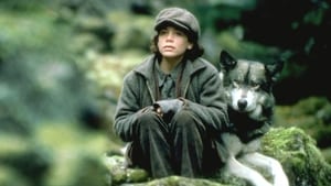 Il viaggio di Natty Gann