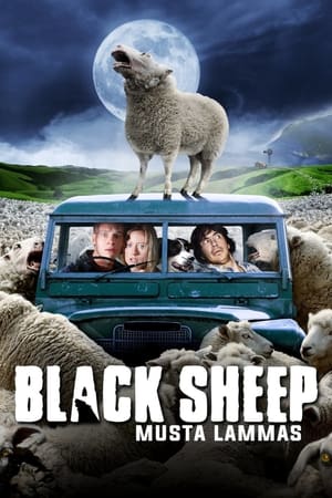 Black Sheep - Musta Lammas