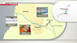 Journeys in Japan: 14×7