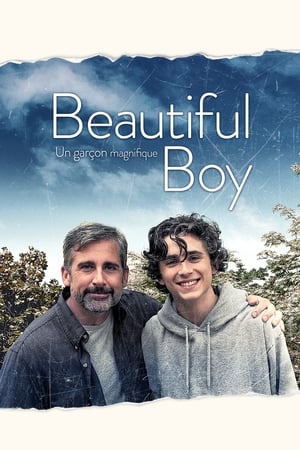 Poster My Beautiful Boy 2018