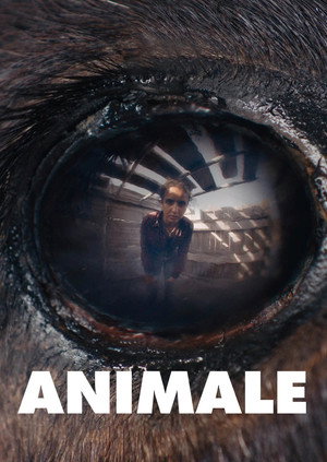 Animale 18