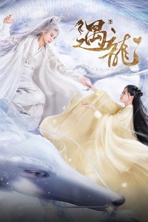 Miss The Dragon (2021) (Serie TV) - Palomitacas