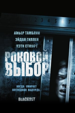Poster Роковой выбор 2008