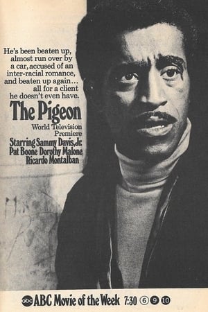 The Pigeon poster