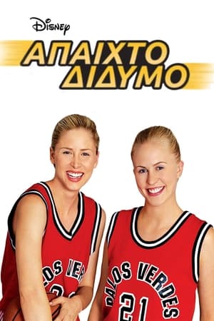 Poster Άπαιχτο Δίδυμο 2002