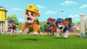 The Crew Builds a Meow Yard