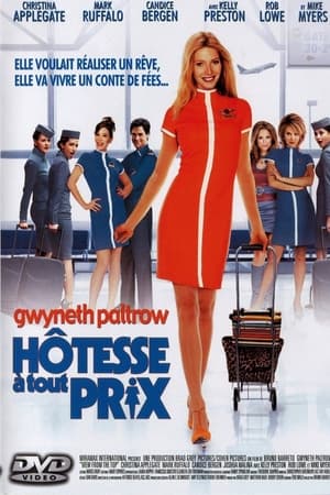 Poster Hôtesse à tout prix 2003