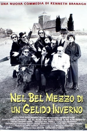 Nel bel mezzo di un gelido inverno (1995)