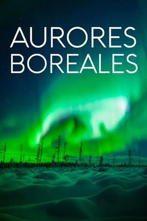 Poster Aurores boréales : Des lumières fascinantes mais menaçantes 2019