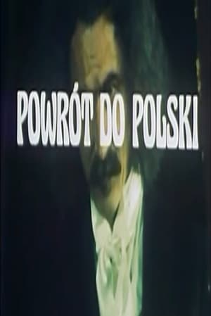 Poster Powrót do Polski 1988