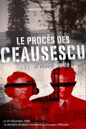 Poster Le procès des Ceausescu : une révolution volée 2019