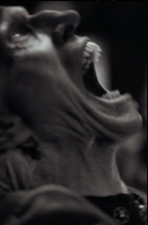 The Vampyre