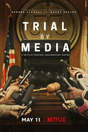 Gerichtsverfahren in den Medien: Staffel 1