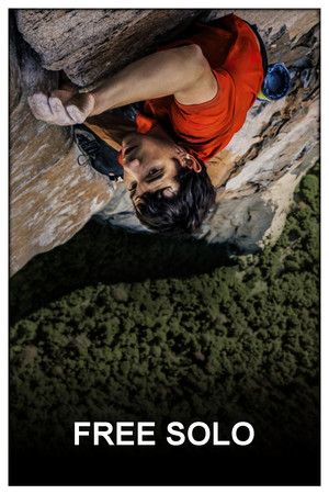poster Free Solo