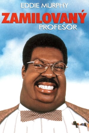 Poster Zamilovaný profesor 1996