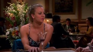 The Big Bang Theory 7 x Episodio 14