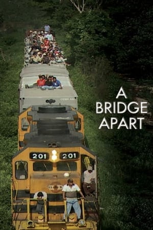 Poster A Bridge Apart 2013