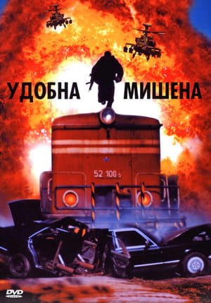 Poster Objetivo a tiro 2005