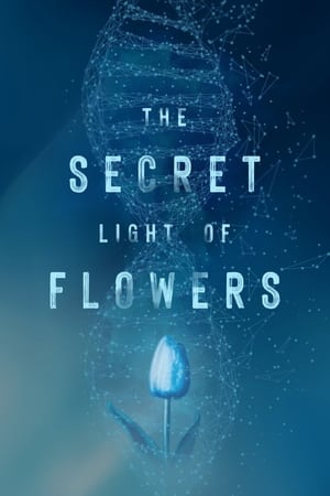 Image The Secret Light of Flowers