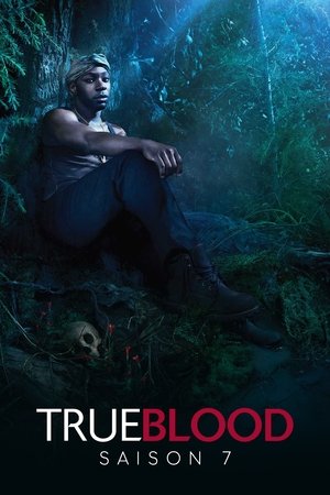 True Blood : de chair et de sang: Saison 7