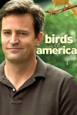 Poster Birds of America 2008