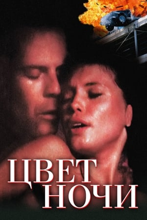 Poster Цвет ночи 1994