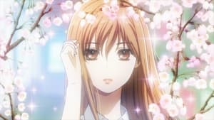 Chihayafuru Now the Flower Blooms