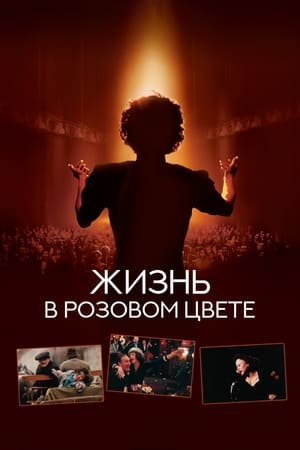 Жизнь в розовом цвете (2007)