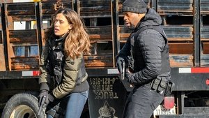 Chicago P.D. – Distrito 21: 8×7