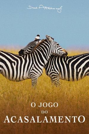 Image The Mating Game