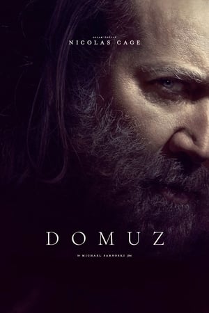 Poster Domuz 2021