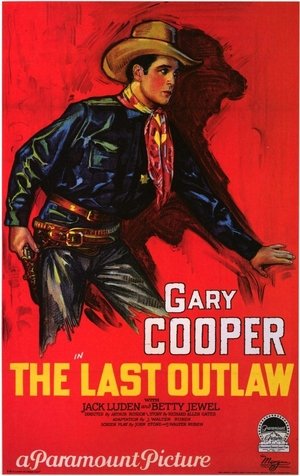 The Last Outlaw poster