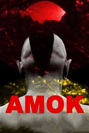 Poster Amok (2011)