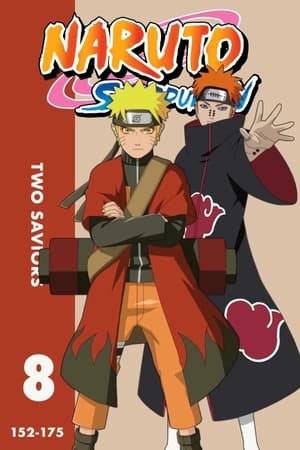 Naruto Shippūden: Two Saviors