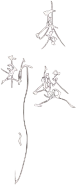 碁盤斬り — Logos 2