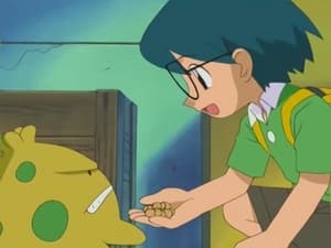 Pokémon Season 6 :Episode 9  Taming of the Shroomish