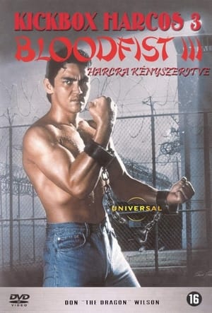 Poster Kickbox harcos 3: Harcra kényszerítve 1992