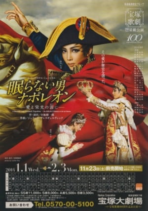 Napoléon, the Man Who Never Sleeps ~At the End of His Love and Glory~ film complet