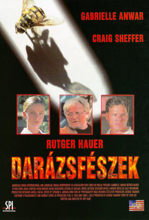 Image Darázsfészek