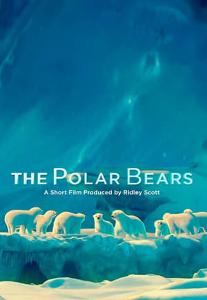 Poster The Polar Bears 2012