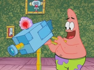 SpongeBob Squarepants: 7 x 1